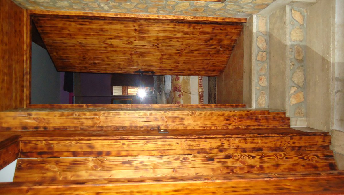 DSC01936