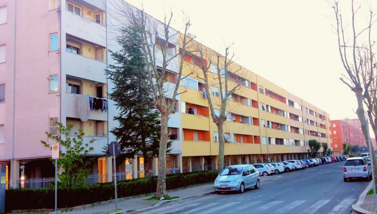 PhotoEditor_20190220_111253666 (1)